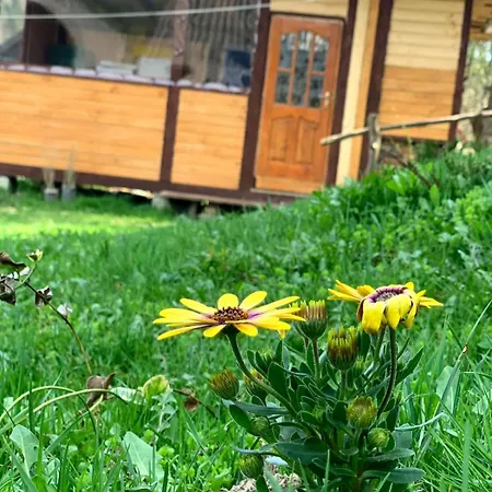 Ferienhaus Smerekova Hata *