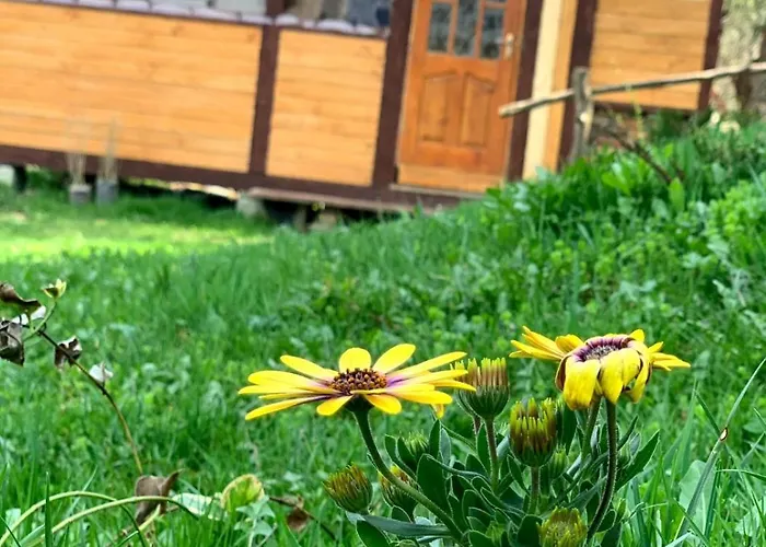 Сasa de vacaciones Smerekova Hata *